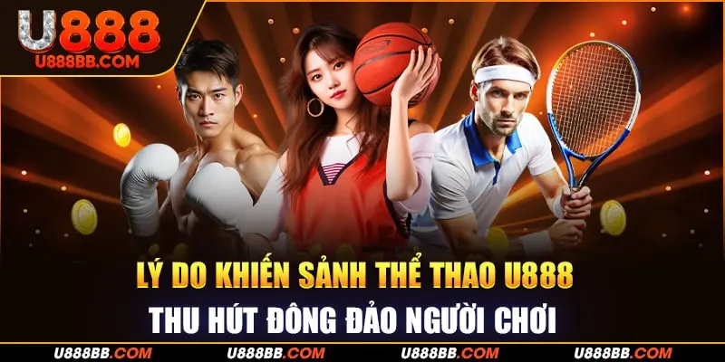Lý do khiến sảnh thể thao U888 thu hút đông đảo người chơi