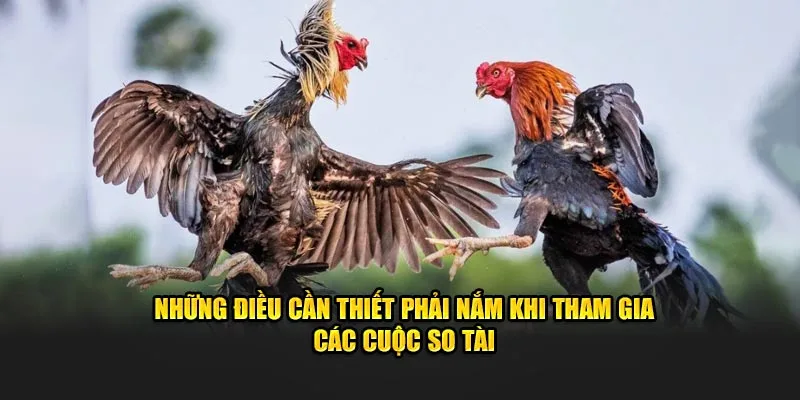 Những điều cần thiết phải nắm tham gia cuộc so tài