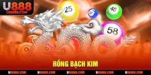 Rồng bạch kim