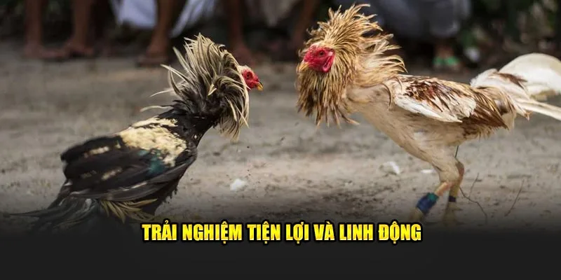Trải nghiệm tiện lợi và linh động